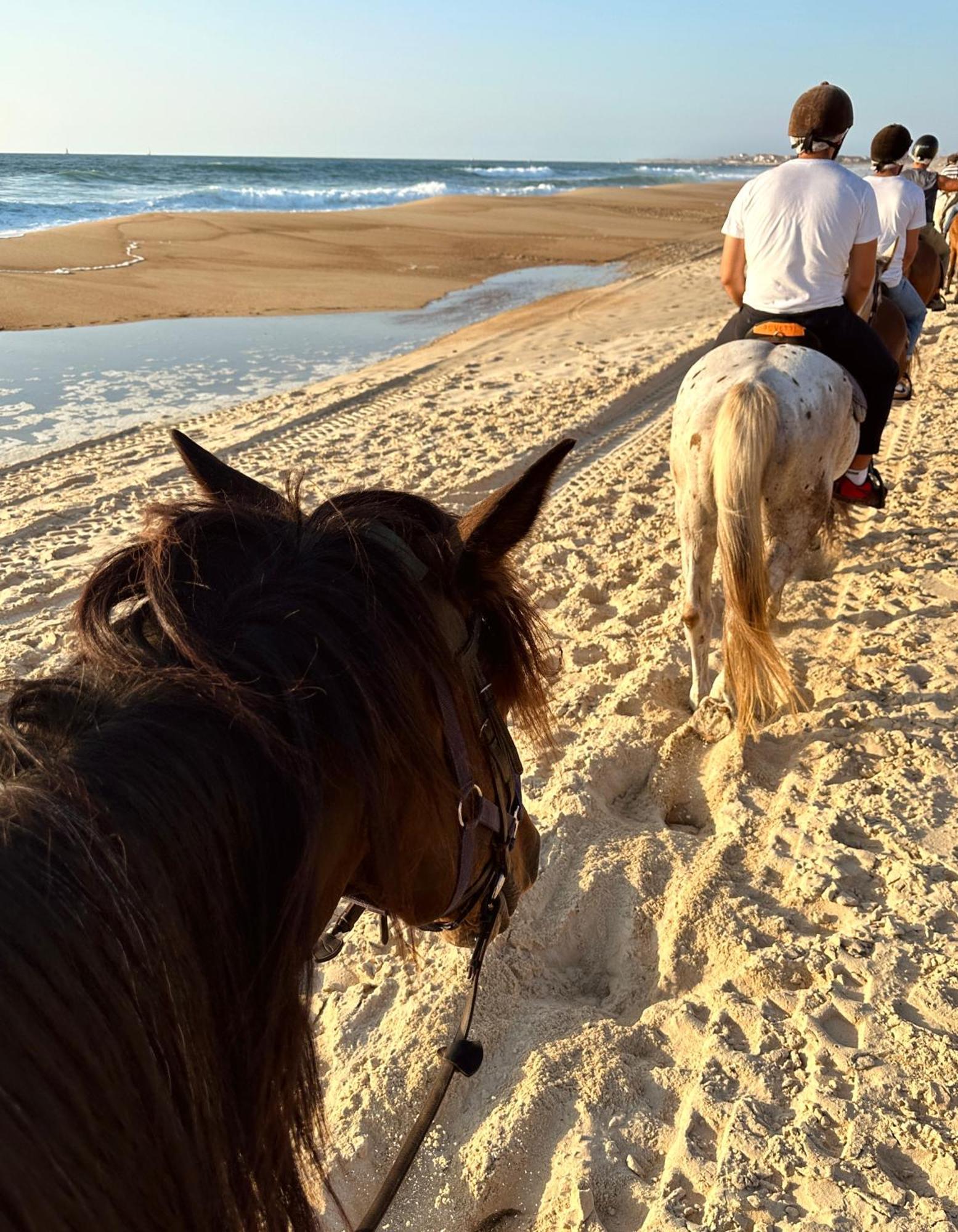 Aparra Surfcamp Capbreton Hotel Екстериор снимка